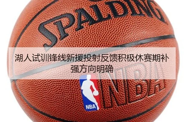 湖人试训锋线新援投射反馈积极休赛期补强方向明确