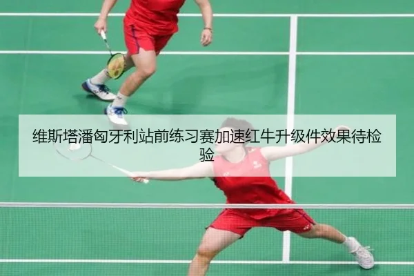 维斯塔潘匈牙利站前练习赛加速红牛升级件效果待检验